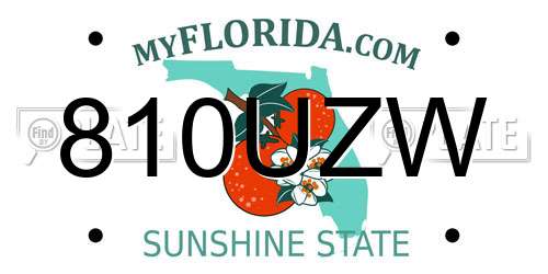 810UZW Florida License Plate