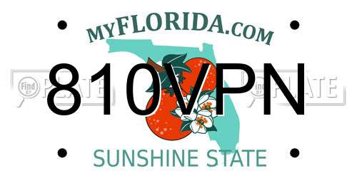 810VPN Florida License Plate