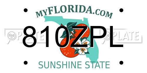 810ZPL Florida License Plate