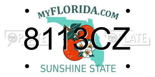 8113CZ Florida License Plate