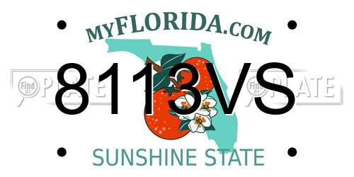 8113VS Florida License Plate