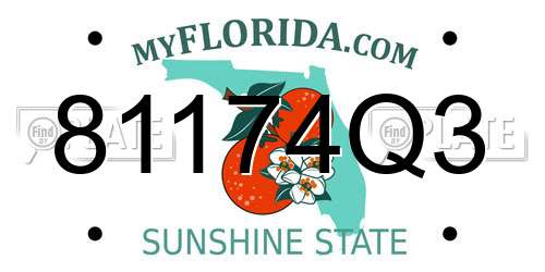 81174Q3 Florida License Plate