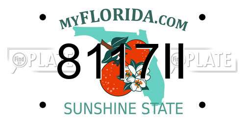 8117II Florida License Plate