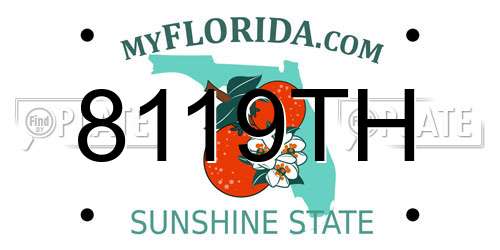 8119TH Florida License Plate