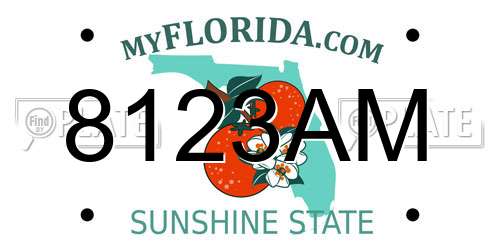 8123AM Florida License Plate