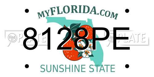 8128PE Florida License Plate