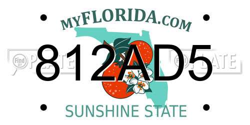 812AD5 Florida License Plate