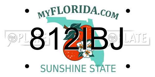 812IBJ Florida License Plate