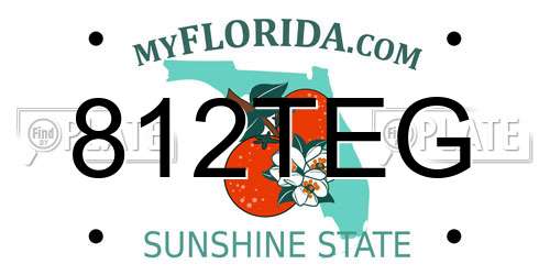 812TEG Florida License Plate
