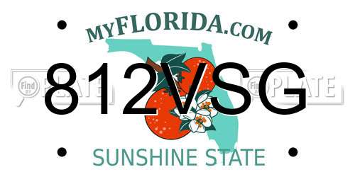 812VSG Florida License Plate