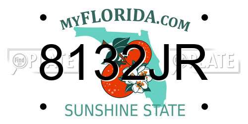8132JR Florida License Plate