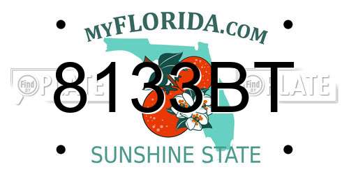 8133BT Florida License Plate