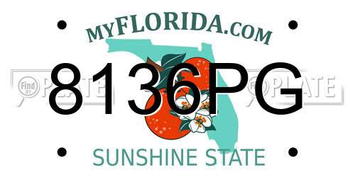 8136PG Florida License Plate