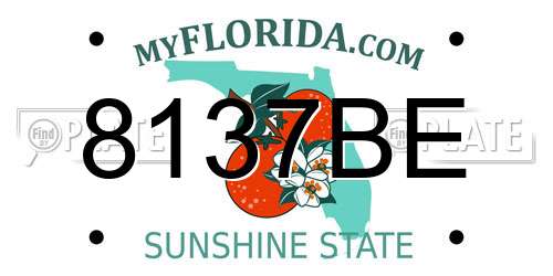 8137BE Florida License Plate