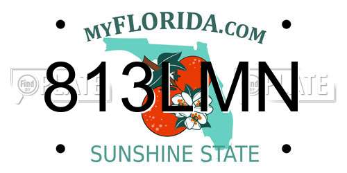 813LMN Florida License Plate
