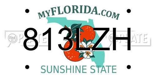 813LZH Florida License Plate