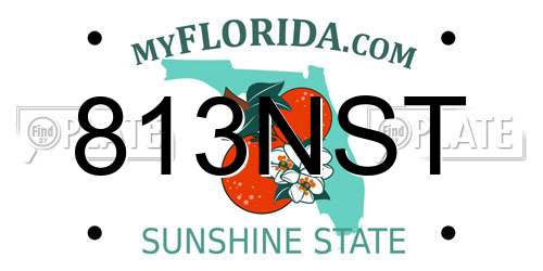 813NST Florida License Plate