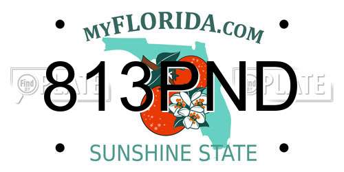813PND Florida License Plate