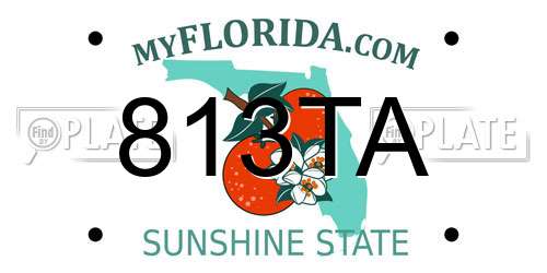 813TA Florida License Plate