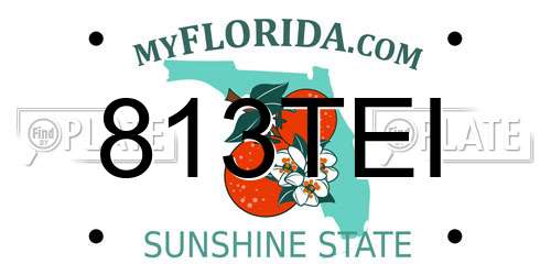 813TEI Florida License Plate
