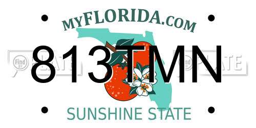813TMN Florida License Plate