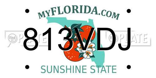 813VDJ Florida License Plate