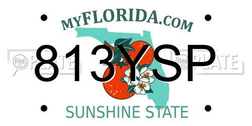 813YSP Florida License Plate