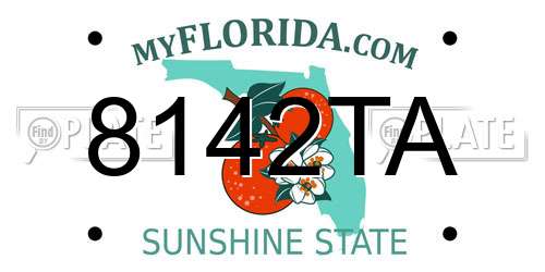 8142TA Florida License Plate