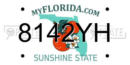 8142YH Florida License Plate