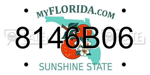 8146B06 Florida License Plate