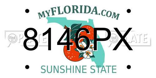8146PX Florida License Plate