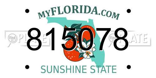 815078 Florida License Plate
