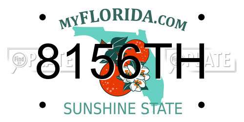 8156TH Florida License Plate