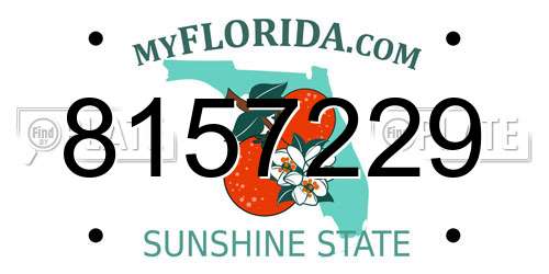 8157229 Florida License Plate