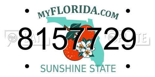 8157729 Florida License Plate