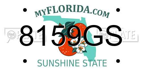8159GS Florida License Plate