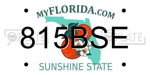 815BSE Florida License Plate