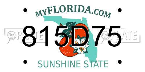 815D75 Florida License Plate