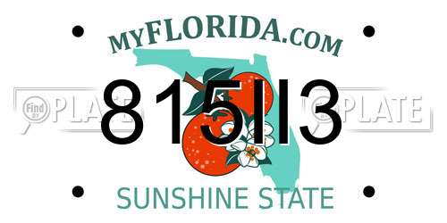 815II3 Florida License Plate
