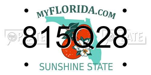 815Q28 Florida License Plate