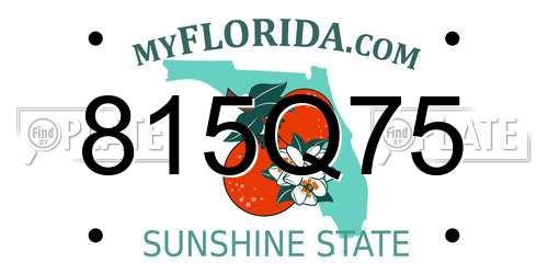 815Q75 Florida License Plate