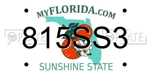 815SS3 Florida License Plate