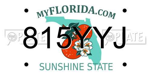 815YYJ Florida License Plate