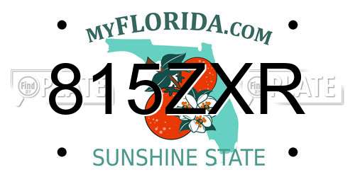 815ZXR Florida License Plate