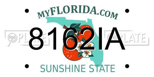8162IA Florida License Plate