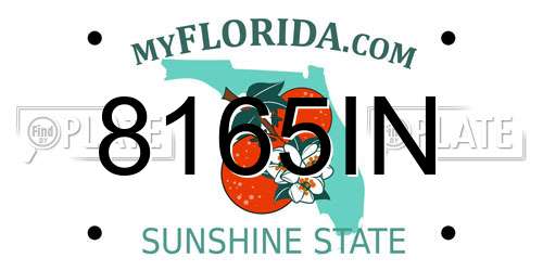 8165IN Florida License Plate