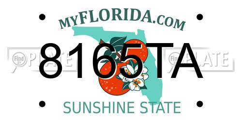 8165TA Florida License Plate