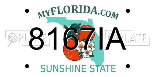 8167IA Florida License Plate