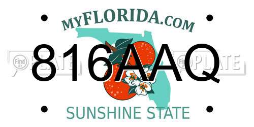 816AAQ Florida License Plate