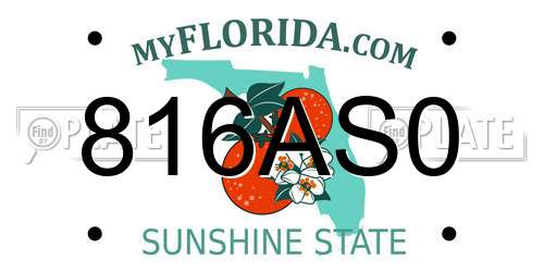 816AS0 Florida License Plate